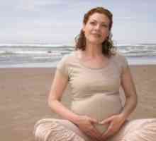 Димензиите на матката за време на бременоста