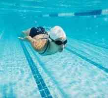 Рефлексии на тоа дали е можно да се губат телесната тежина со помош на базен