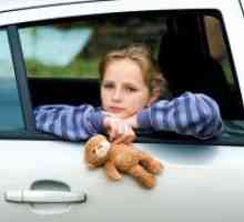 Дете заниша во автомобилот - што да правам?