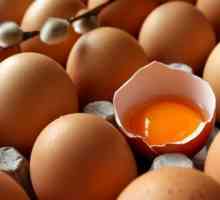 Muskoka рецепти за коса со јајца