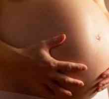 Намалувањето на ембриони