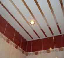 Решетката и крило таванот во бањата