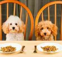 Оценка храна за кучиња