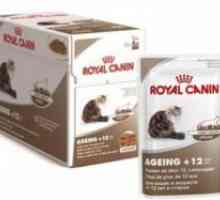 Royal Canin за мачки
