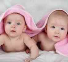 Раѓањето на близнаци