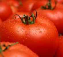 На повеќето вкусни сорти на домати