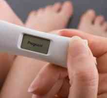 Најчувствителен тест за бременост