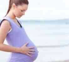 Седло-облик на матката и бременоста