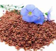 Лен семиња - придобивките и штетите