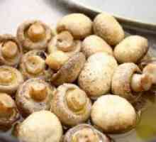 Печурки во микробранова печка