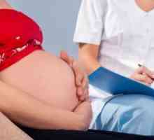 Грлото на матката за време на бременоста - норма за неколку недели