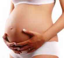 Грлото на матката за време на бременоста
