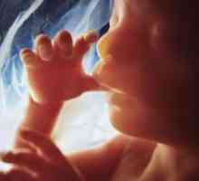 Мешање на фетусот пред раѓањето