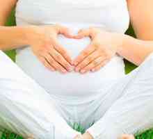 Мешање на фетусот за време на бременоста