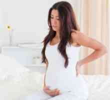 Дали вашето дете се движи за време на породувањето?