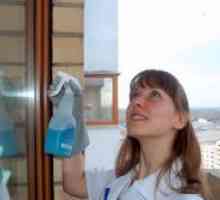 Четка за миење прозорци