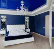 Сина спална соба