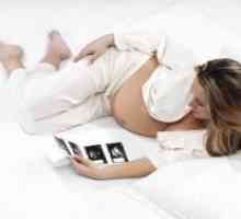 Ултразвучен преглед во бременоста