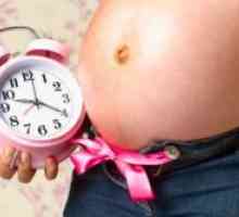 Мукозните приклучок во бременоста