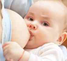 Мешани хранење новороденчињата