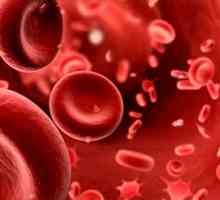 ESR во крвта на детето: норма и патологија