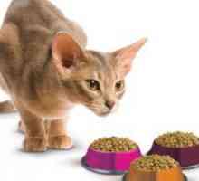 Споредба на храна за мачки