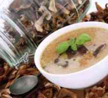 Бела супа од печурки