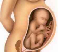 Карлична презентација на фетусот - 27 недели