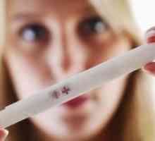 Тест за бременост - Упатство