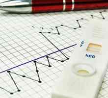 Овулација тест за бременост