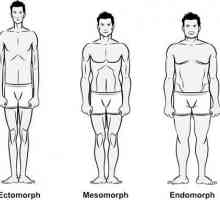 Видови на телото на мажите и жените