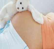 Триместар од бременоста - услови