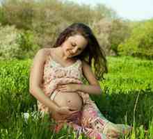 Тромбоцити во Бременост можните проблеми
