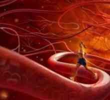 Зајакнување на крвните садови