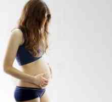 Узи на 20 недели од бременоста