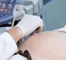 Бубрежен ултразвук за време на бременоста