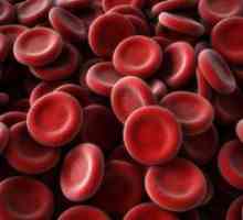 Намалениот крв еритроцитите
