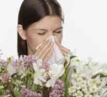 Пролет алергија
