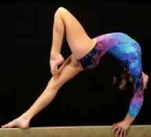 Форми на уметничка гимнастика