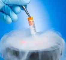 Претворање во стакло мобилен ембриони