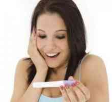 Дали бременоста по еден месец е можно?