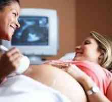 Штета ултразвук во бременоста