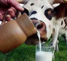 Светскиот ден на млекото
