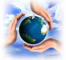 Светскиот ден на животната средина