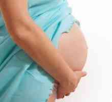 Распределба на средствата по 40 недели од бременоста