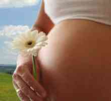 Висок прогестерон за време на бременоста