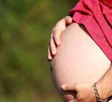Подуеност во бременоста