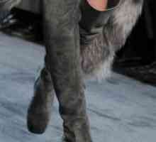 Женски велур чизми зима