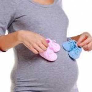Акушерски 15 недела од бременоста