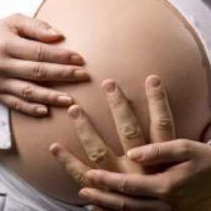 15 Недели од бременоста - фетусот движење